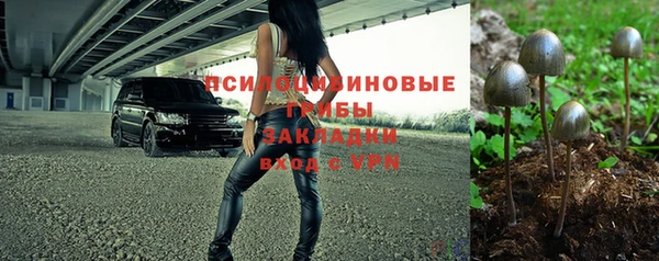 дживик Снежинск